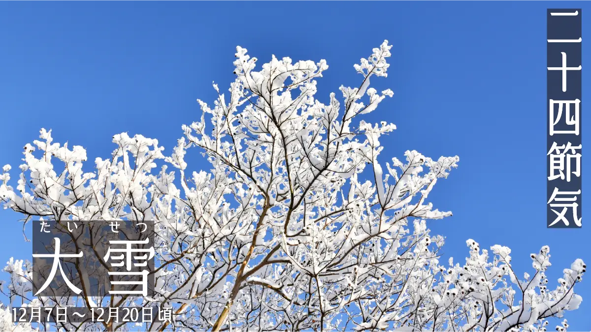 二十四節気-大雪-青空に雪の樹木の画像