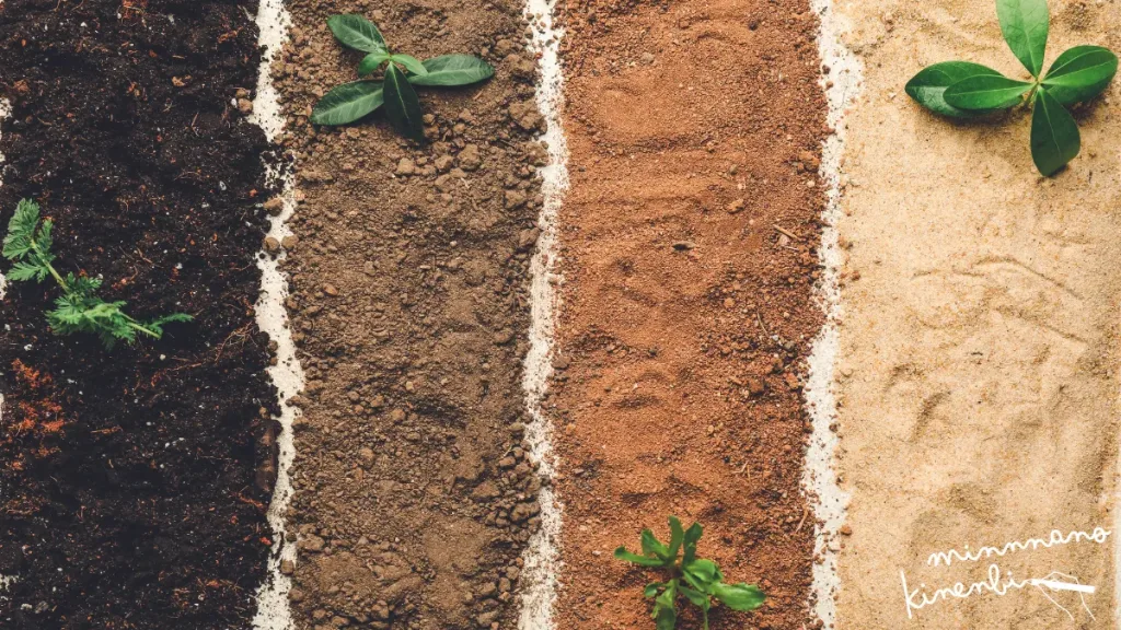 幸運を呼ぶ数秘術4月の運勢前半の土と新芽 の画像