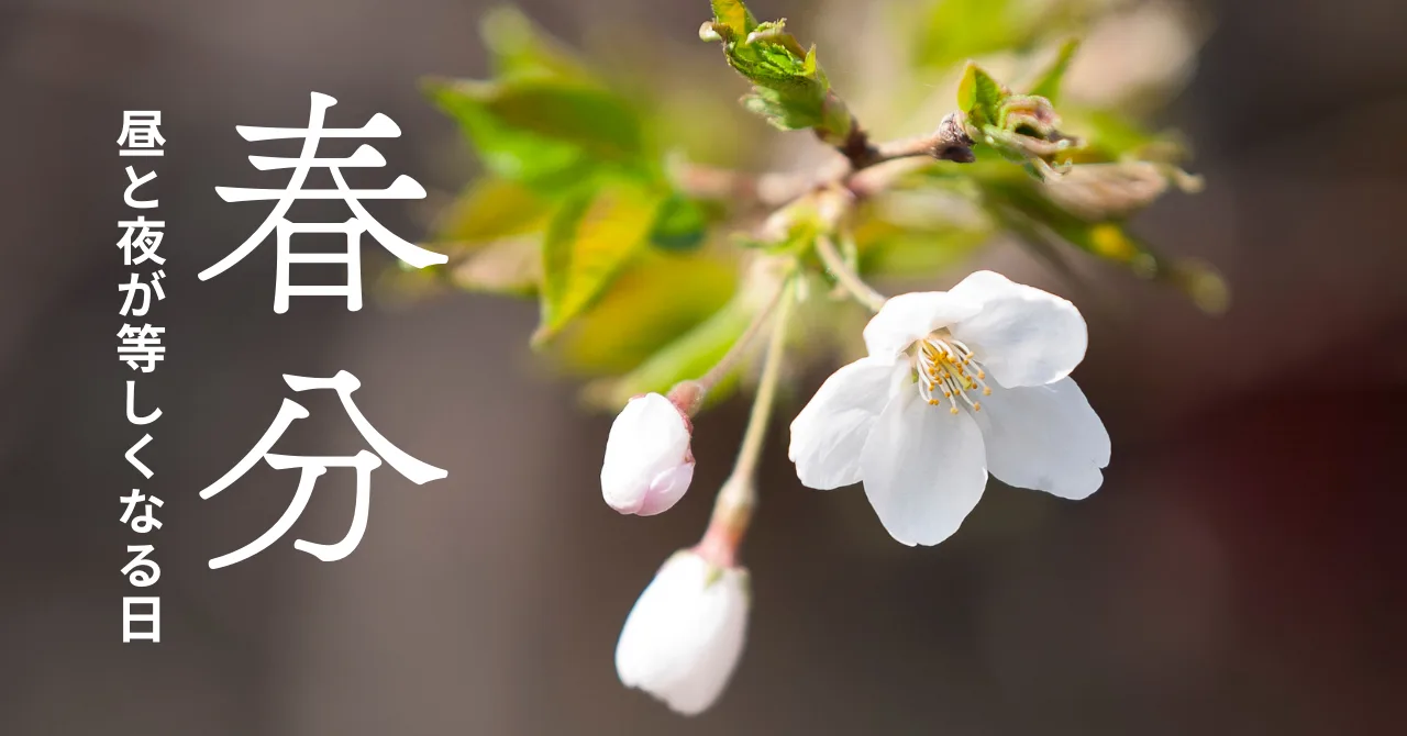 桜の蕾と春分の画像
