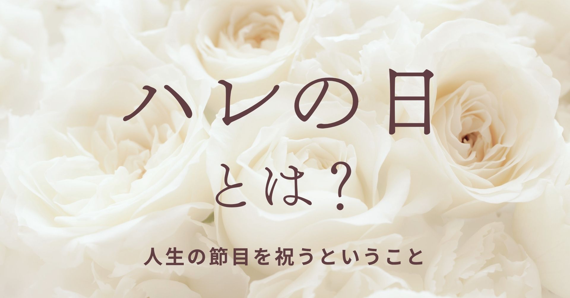 ハレの日の白薔薇の画像