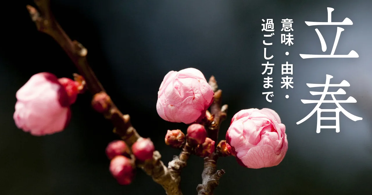 立春の梅のはな