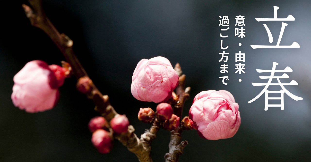 立春の梅の花