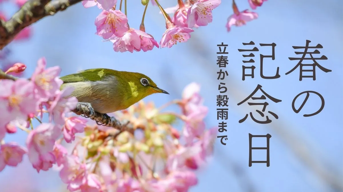 春の記念日桜と鳥の画像