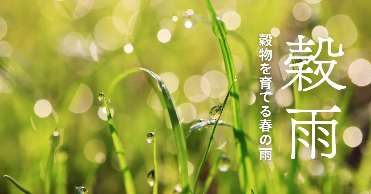 春の雨、穀雨の画像