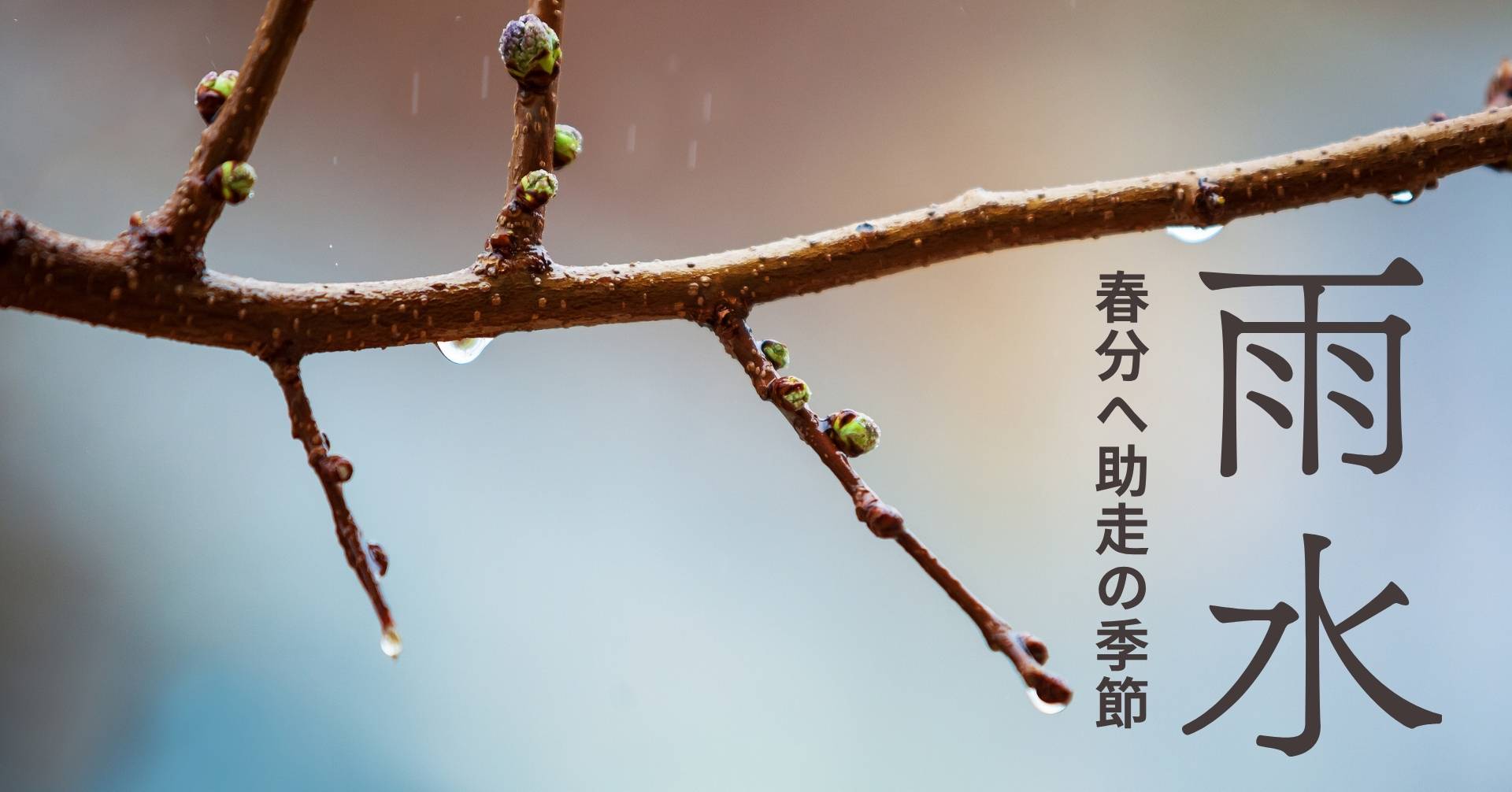 雨水とは？