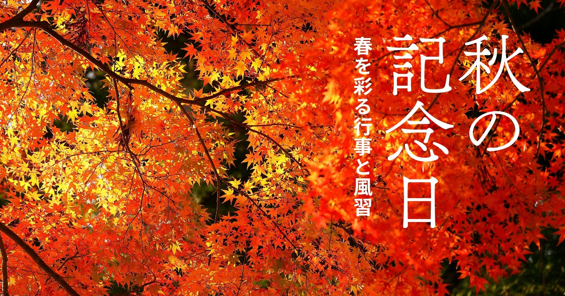 日本の秋の画像