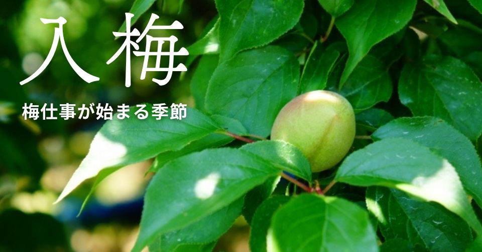 入梅とは？
