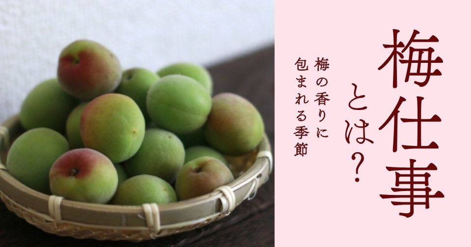 梅仕事とは？