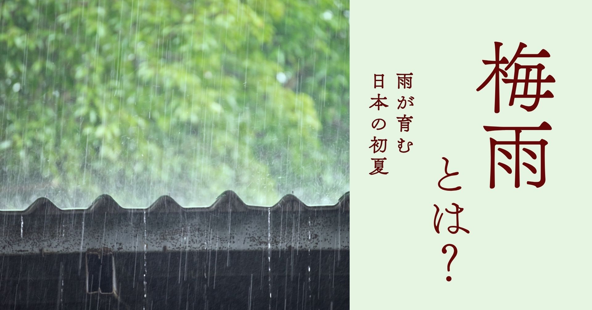 梅雨の雨の画像