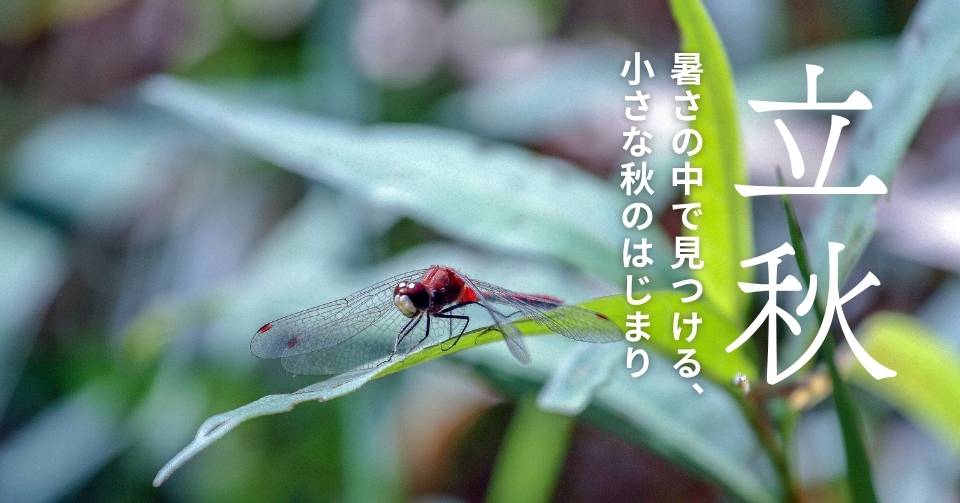 立秋とは？