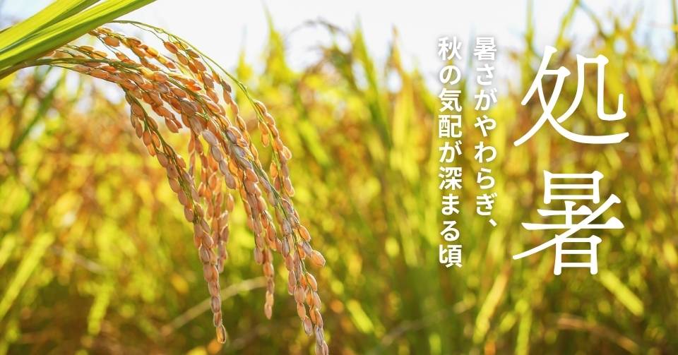 処暑とは？