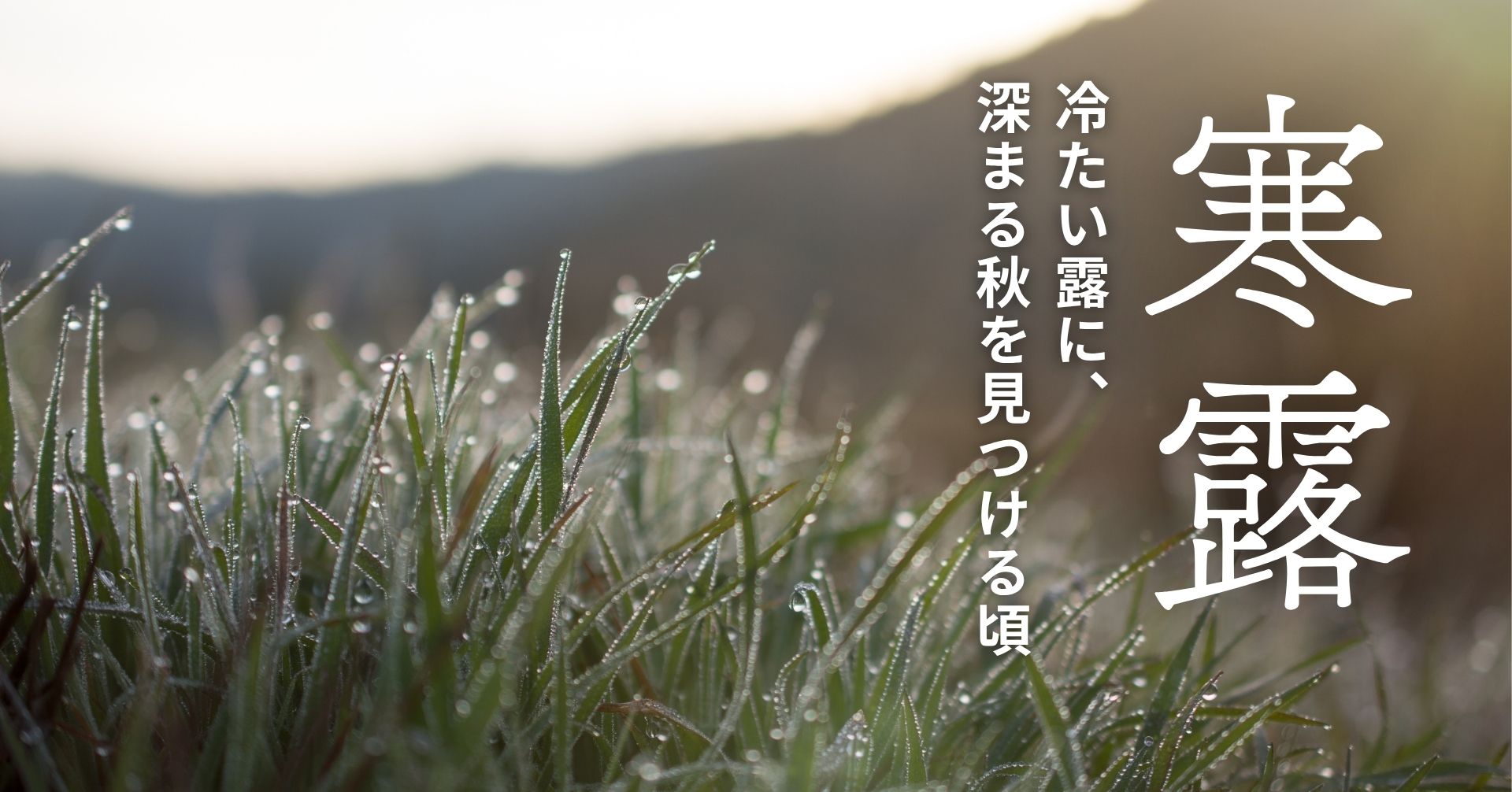 寒露の朝露の画像