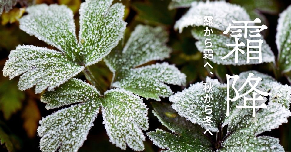 霜降とは？